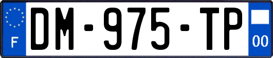 DM-975-TP