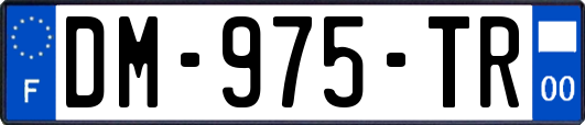 DM-975-TR