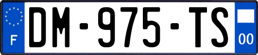 DM-975-TS