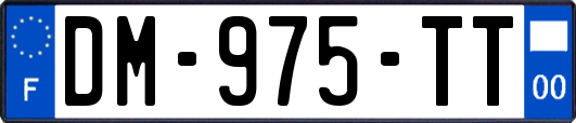 DM-975-TT