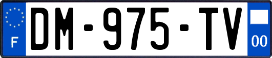 DM-975-TV