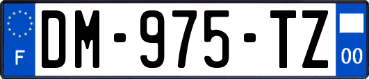 DM-975-TZ