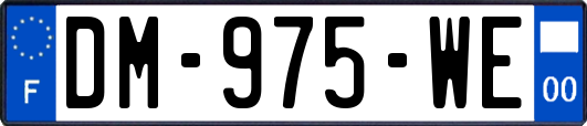 DM-975-WE