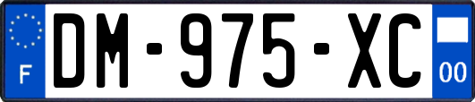 DM-975-XC