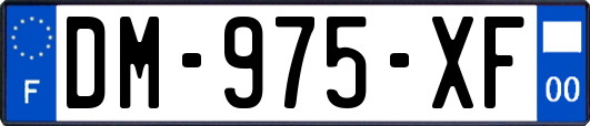DM-975-XF