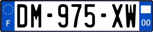 DM-975-XW