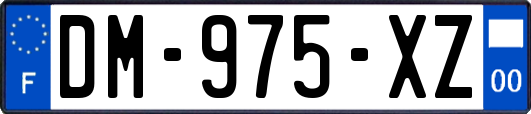 DM-975-XZ