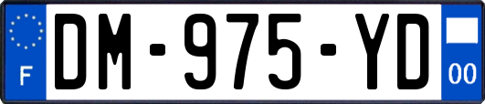 DM-975-YD