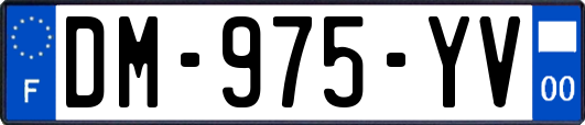 DM-975-YV