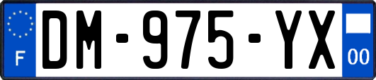 DM-975-YX