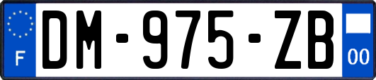 DM-975-ZB