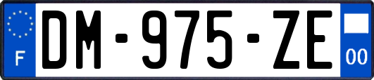 DM-975-ZE