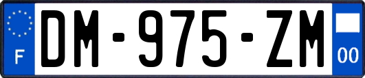 DM-975-ZM