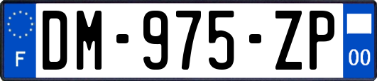 DM-975-ZP