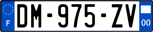 DM-975-ZV