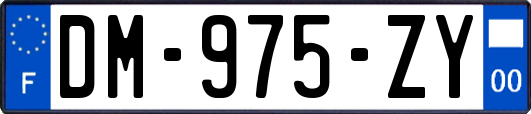 DM-975-ZY