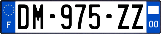 DM-975-ZZ