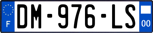 DM-976-LS