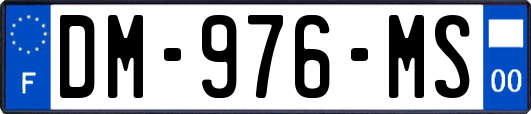 DM-976-MS