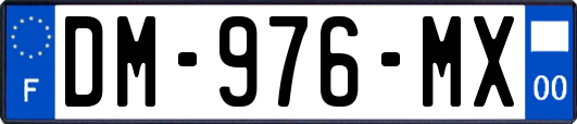 DM-976-MX