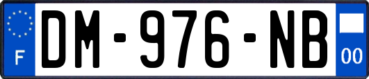 DM-976-NB