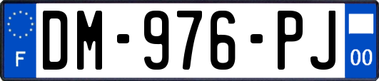 DM-976-PJ