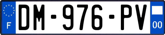 DM-976-PV