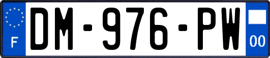 DM-976-PW