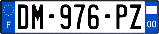 DM-976-PZ