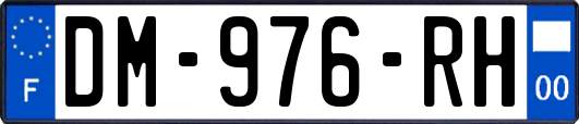 DM-976-RH