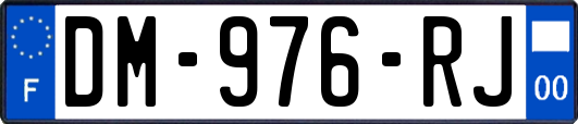 DM-976-RJ