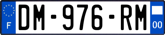 DM-976-RM