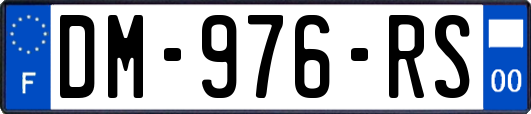 DM-976-RS