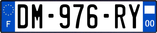 DM-976-RY