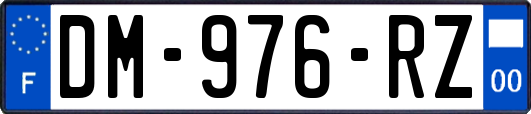 DM-976-RZ