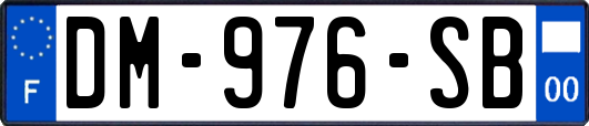 DM-976-SB