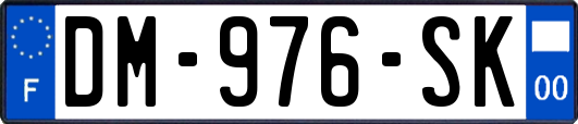 DM-976-SK