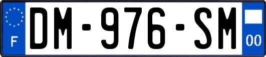 DM-976-SM