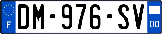DM-976-SV