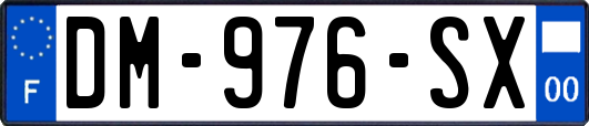 DM-976-SX