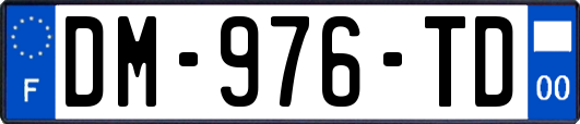 DM-976-TD