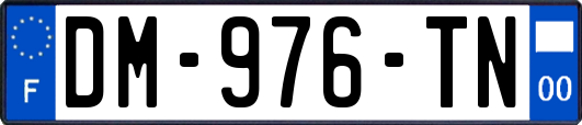 DM-976-TN