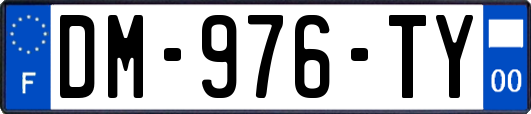 DM-976-TY
