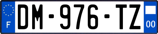 DM-976-TZ