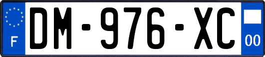 DM-976-XC