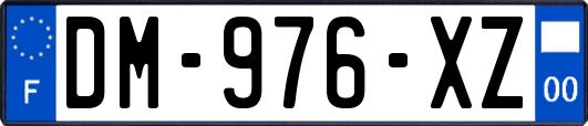 DM-976-XZ