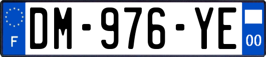 DM-976-YE