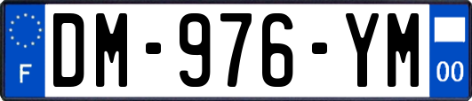 DM-976-YM