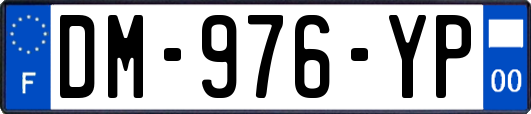 DM-976-YP