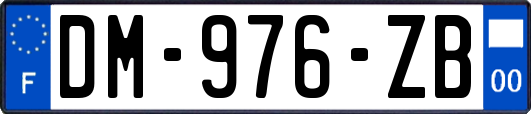 DM-976-ZB